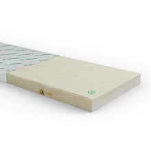 Ytterpanel 22 x 170 mm – 4,8 m